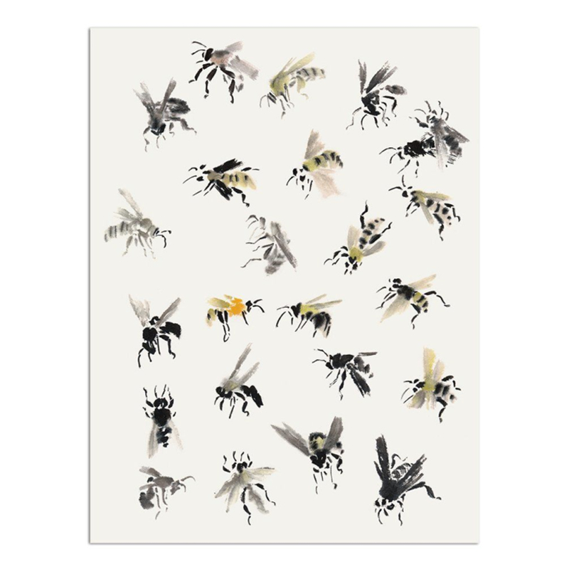Traditional Chinese Painting B - Photography Basic 评论和价格