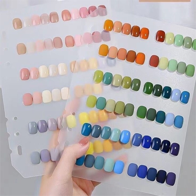 Nail Art Piece Storage Book In - Photography Basic 评论和价格